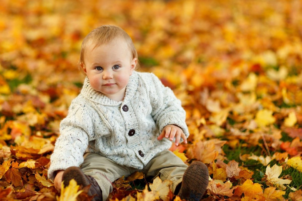 bebe jouant dans les feuilles de la saison d'automne