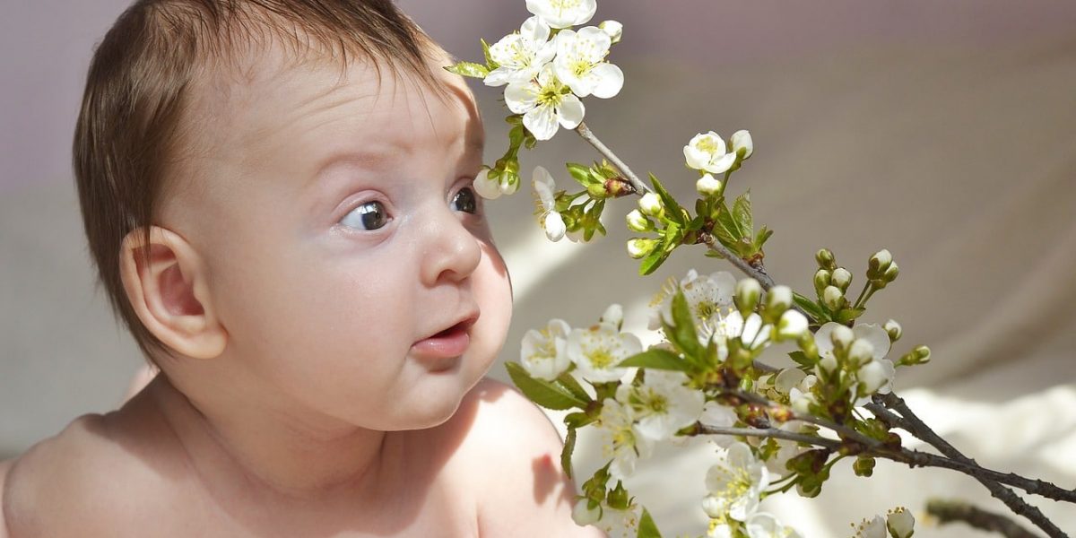 bebe voit des fleurs et s'en amuse